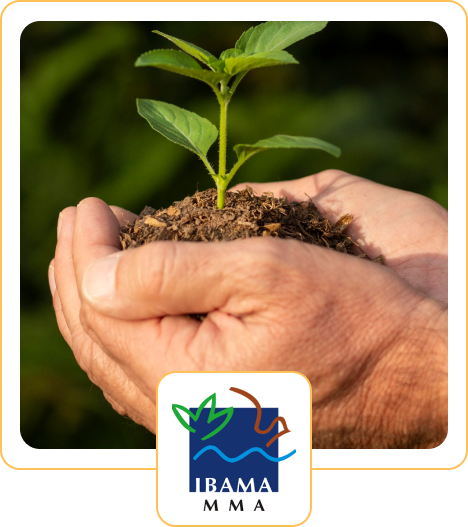 LICENCIAMENTO AMBIENTAL